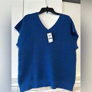 Style & Co. Blue V-Neck Sweater